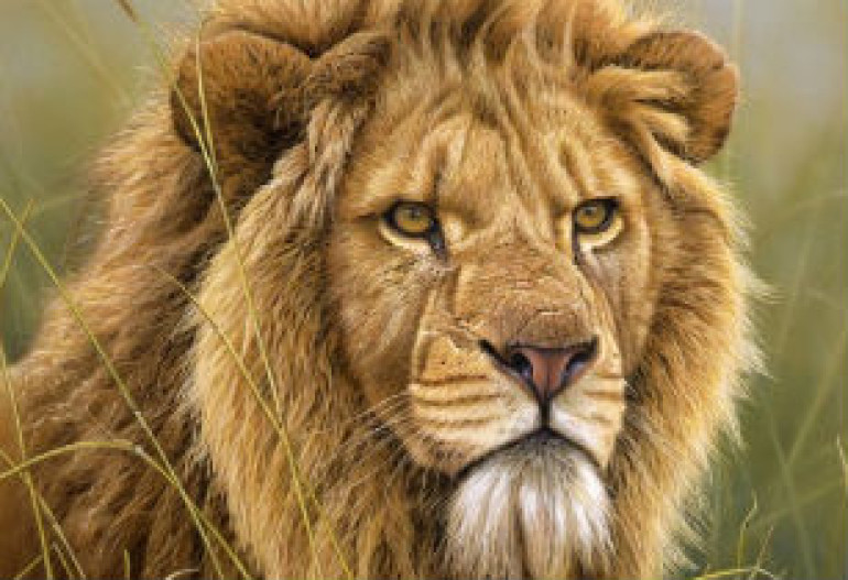 Wildlife painting of Eric Wilson