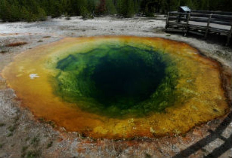 Гейзеры, бизоны и другие достопримечательности Йеллоустоуна (фото)