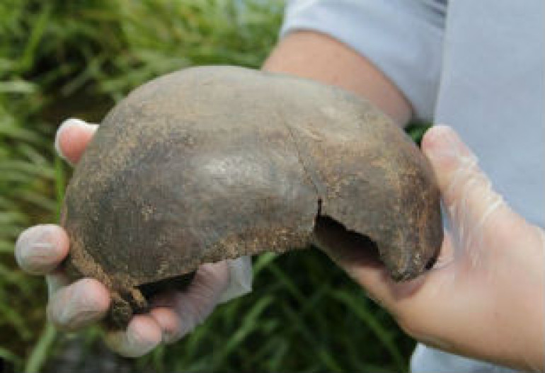 Discovery of 5,000-year-old skull 'in fabulous condition' on side of river sparks mystery
