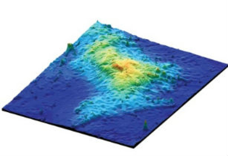 Biggest volcano found at bottom of Pacific