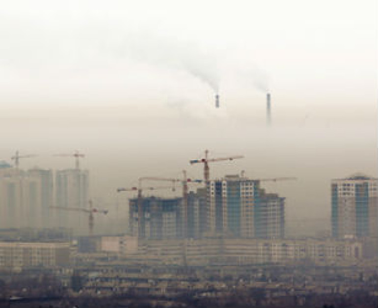 В Казахстане предложили строить дома из конопли и бамбука