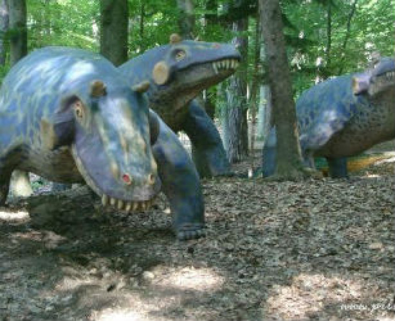 Dinasaur toilet unearthed in Argentine