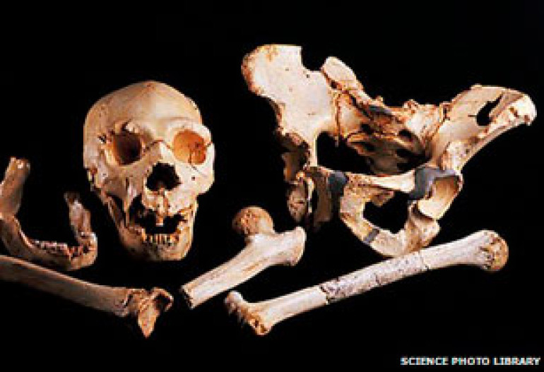 Leg bone gives up oldest human DNA