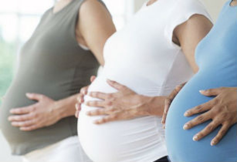 Pregnancy fat diet may alter babies’ brain