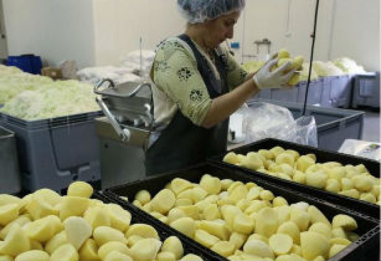  Բելառուս ուսուցչուհին կարտոֆիլով աշխատող մարտկոց է ստեղծել