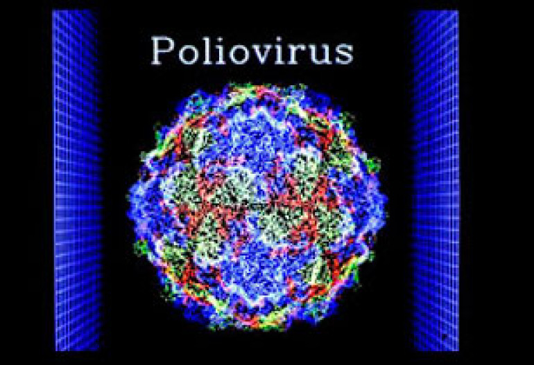 Rare 'polio-like' disease reports