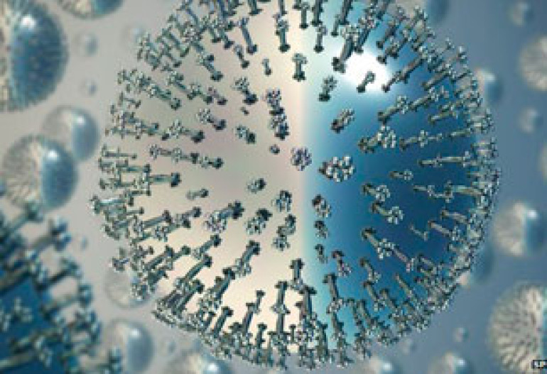 Immune upgrade gives 'HIV shielding'