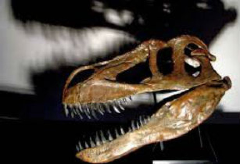 Dinosaur with four-inch teeth thought to be 'most ferocious to ever roam Europe'