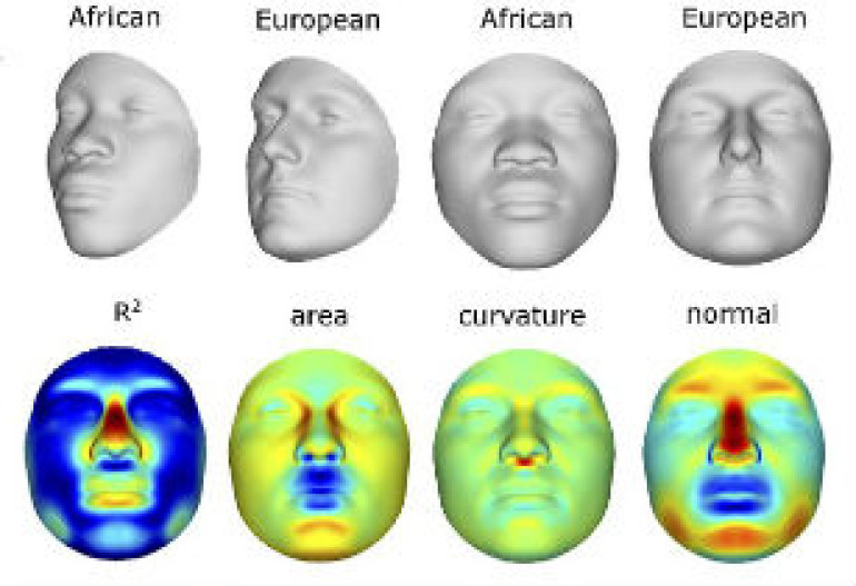 Scientists discover ways to restore faces from DNA