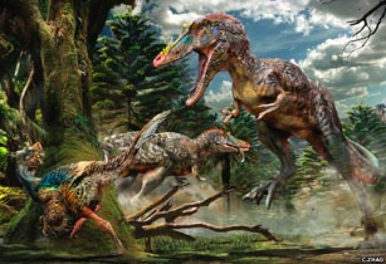 New Tyrannosaur named 'Pinocchio rex'
