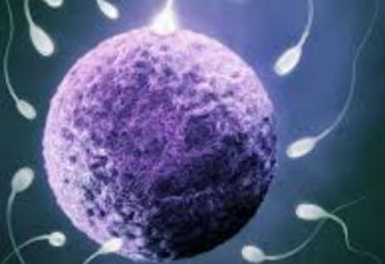 Chemicals in soap can cause male infertility, scientist say