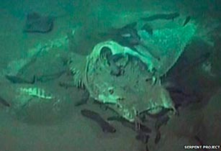 Deep-sea 'graveyard' reveals fate of dead ocean giants