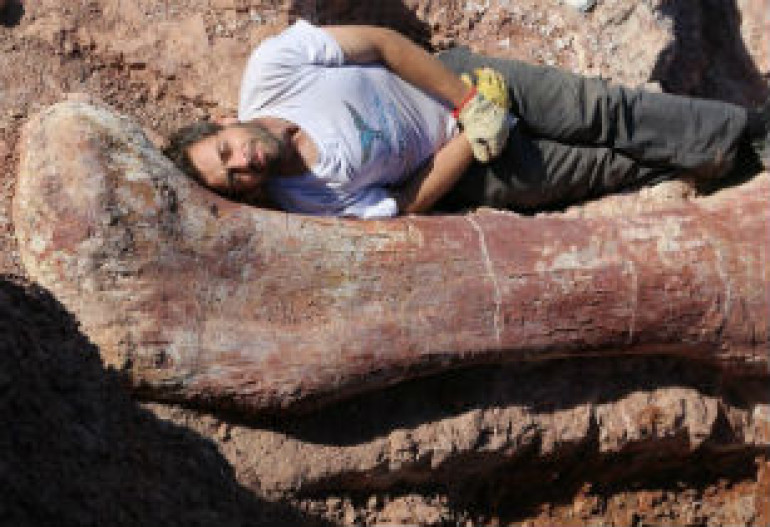 Biggest dinosaur ever discovered in Argentina