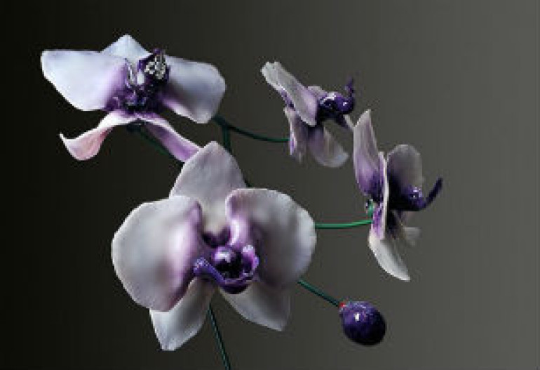 Seattle glassblower creates amazingly realistic large-scale glass flowers