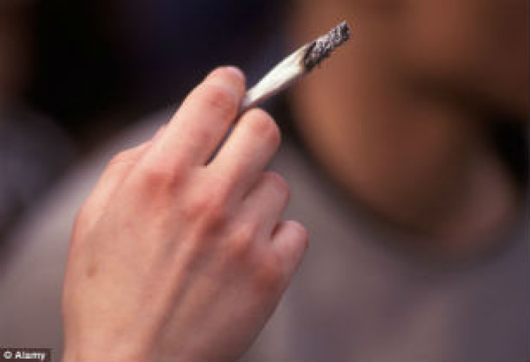 Cannabis only lifestyle choice cutting male fertility