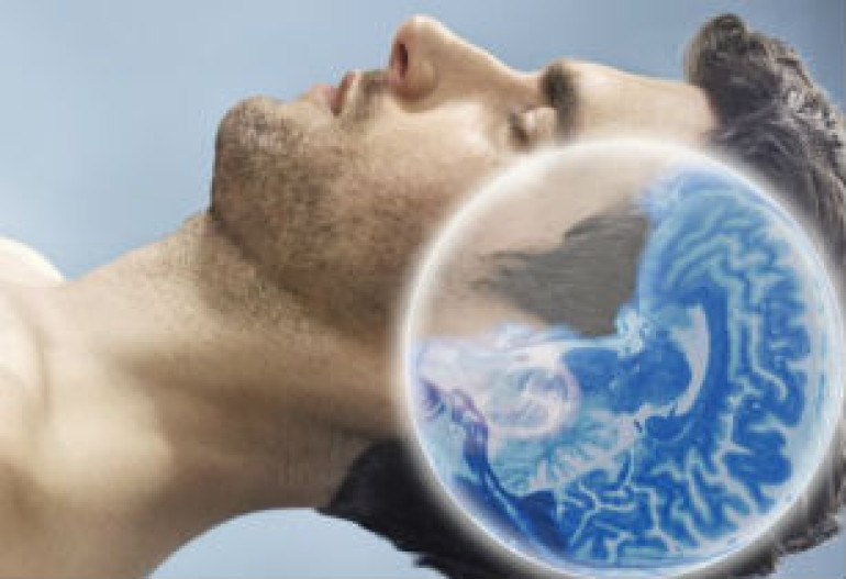 Sleep memory role discovered