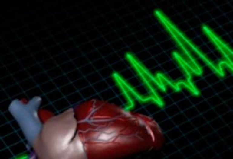 Broken gene appears to protect against heart disease