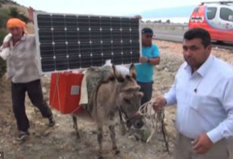 Turkish farmers charge laptops using solar-powered donkeys