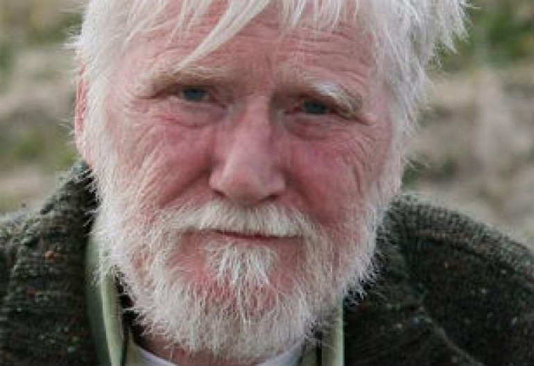 Dermot Healy, 'uncompromisingly brilliant' Irish poet and novelist, dies at 66
