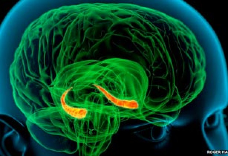 Similar memories benefit from 'extra space' in brain