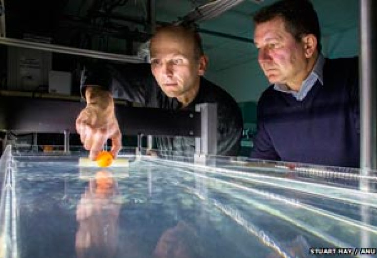 Physicists make 'tractor beam' in water