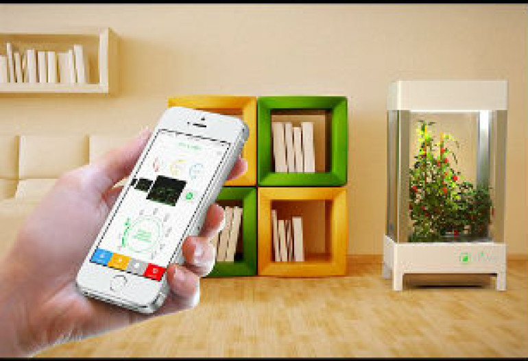 Smartphone-controlled greenhouse invented to help grow fruits and veg in room