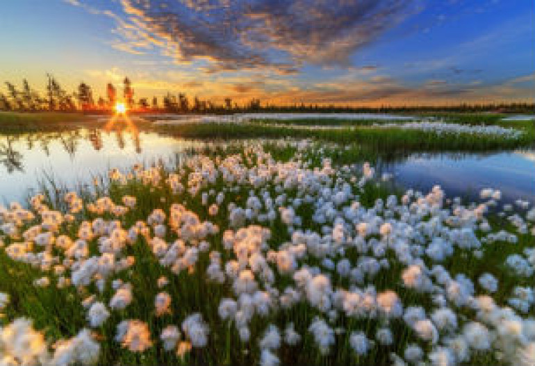 Лучшие фотографии National Geographic за август