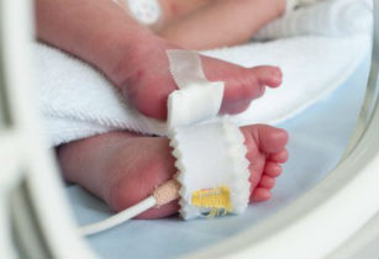 Hormone erythropoietin protect premature babies