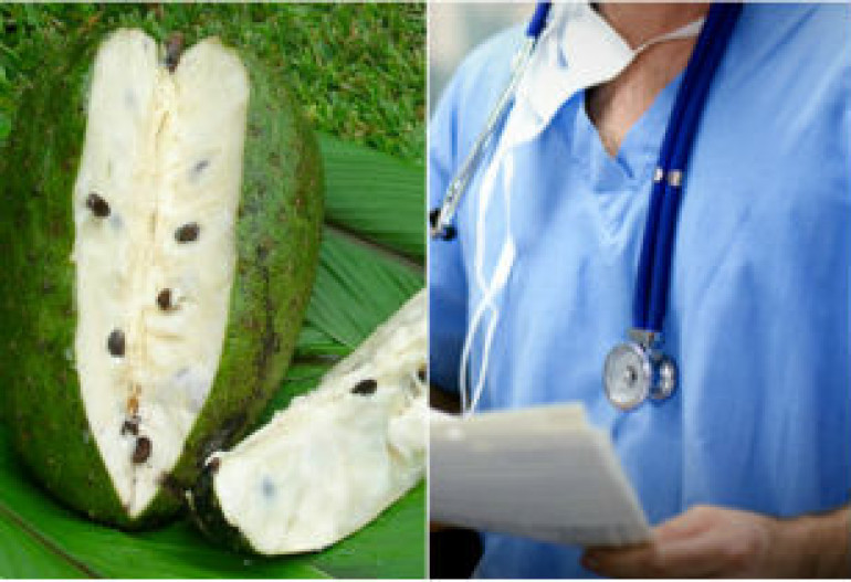 Guanabana and cancer: Armenian doctors skeptical about ‘magic fruit’