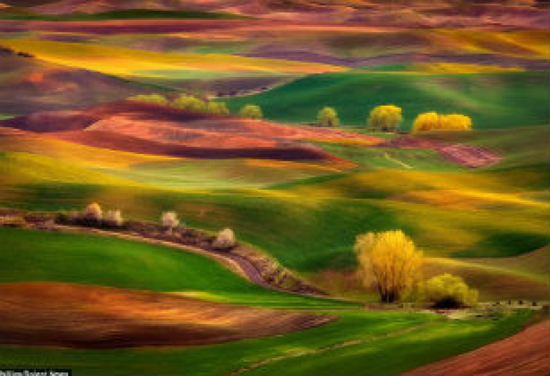 Photographer captures luminous colors of American prairies