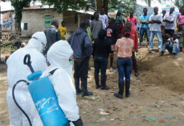 Test Ebola drug fully effective in animal trials