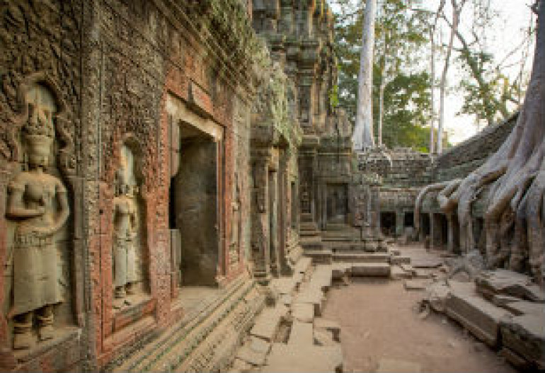 Lasers reveal hidden city in Combodian jungle