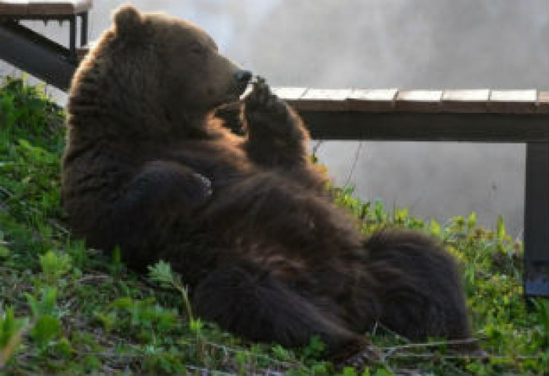 Лучшие фотографии National Geographic за сентябрь