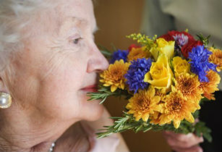Sense of smell linked to lifespan, research suggests