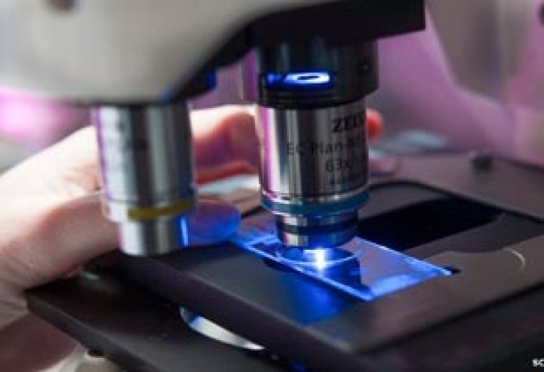 Microscope work wins Nobel Prize