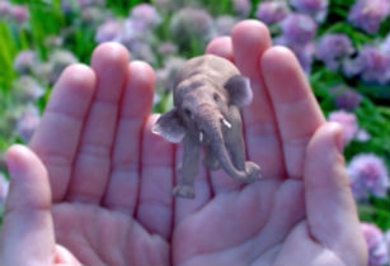Google-ն ավելի քան 540 մլն դոլար կներդնի Magic Leap-ի «լրացուցիչ իրականության ակնոցի» ստեղծման գործում