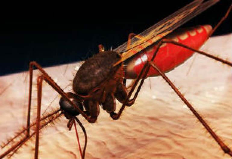 Ebola crisis may set back malaria fight