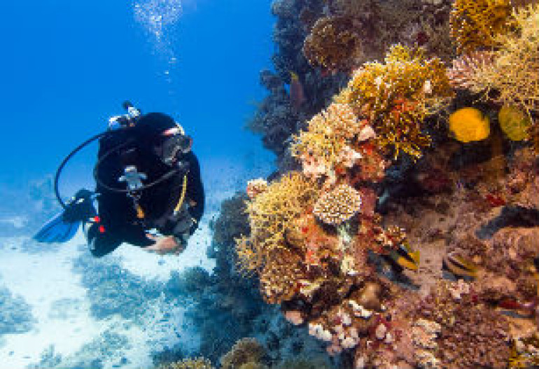 Հրեաների ելքը Եգիպտոսից Կարմիր ծովով. գտնվել են աստվածաշնչյան հրաշքի գիտական ապացույցները