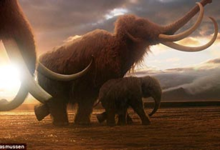 Woolly mammoths could be cloned and brought back from extinction say scientists after discovery of 40,000-year-old remains