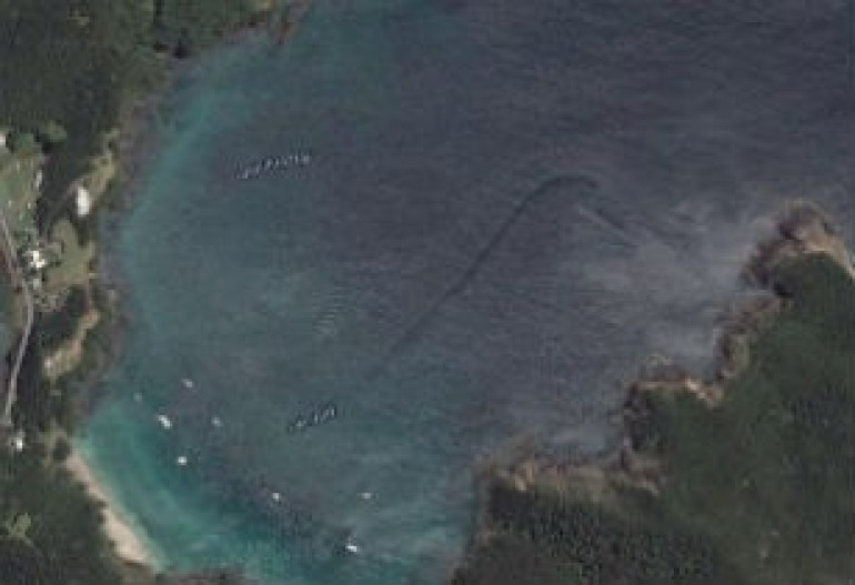 Google Earth-ը Նոր Զելանդիայի ափերին առեղծվածային ջրային արարած է ֆիքսել (լուսանկարներ)