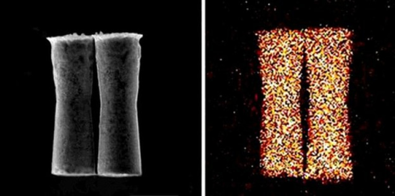 Micro-machines journey inside animal for first time