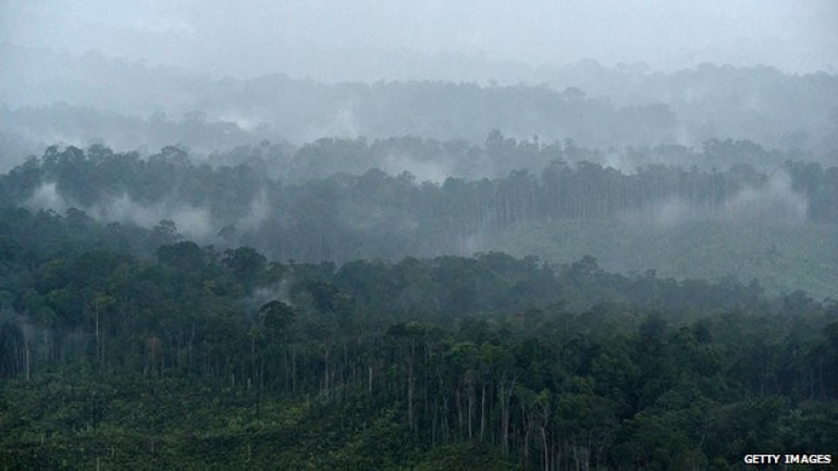 'World can cut carbon emissions and live well'