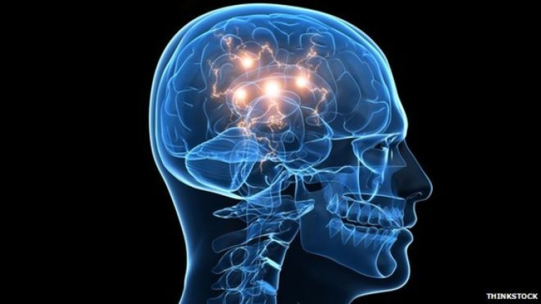 Dementia halted in mice brains