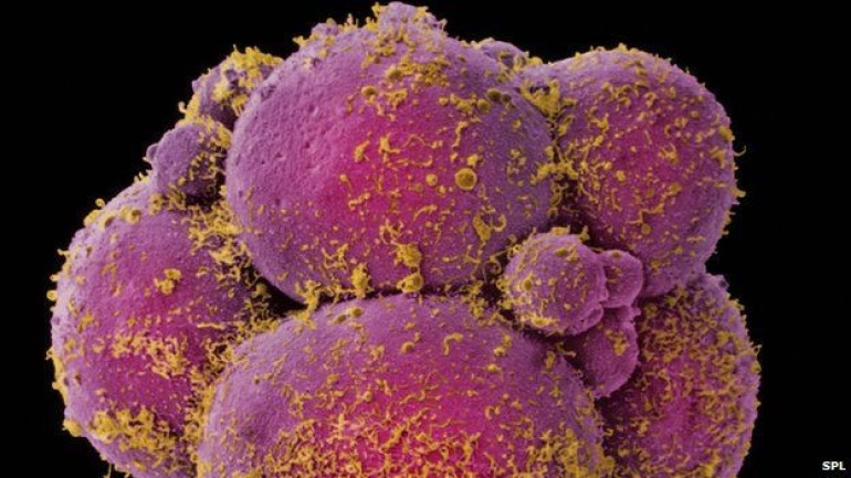US 'will not fund research for modifying embryo DNA'