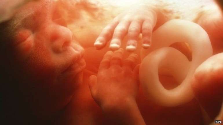 Embryo engineering a moral duty, says top scientist