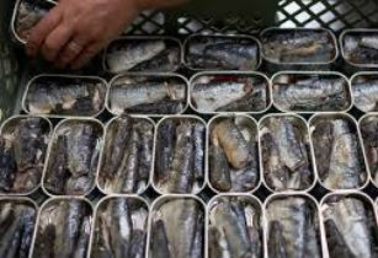 Россия вводит запрет на импорт рыбной продукции из Эстонии и Латвии