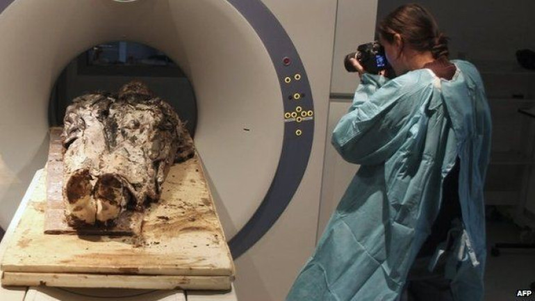 French tests on 359-year-old body