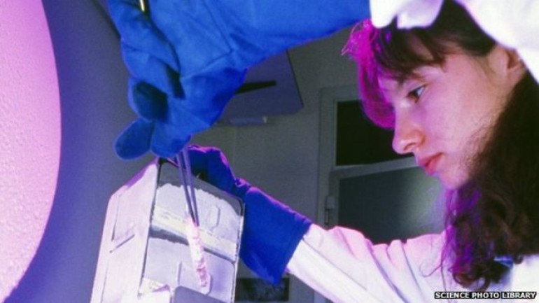 World’s first baby conceived in frozen ovary born