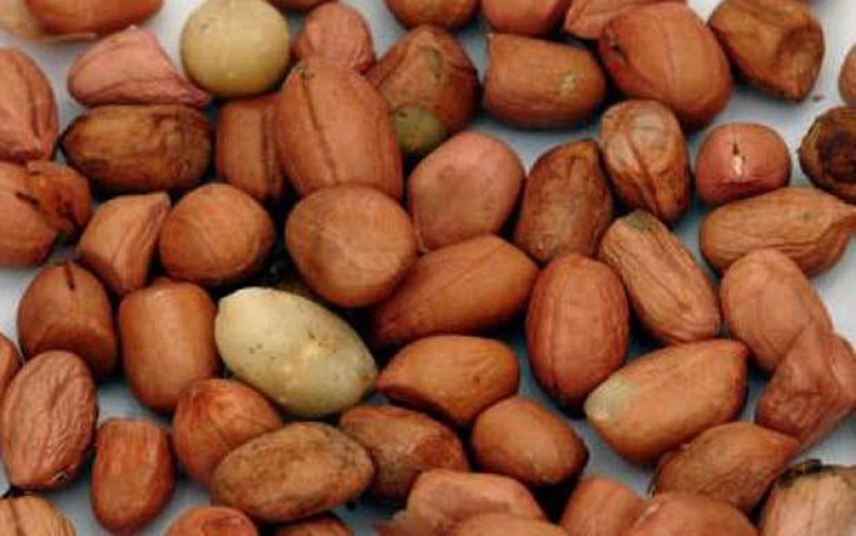Handful of nuts has life-saving, new study suggests