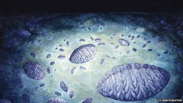 Ancient life form’s complex sex life revealed